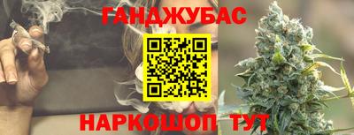 крисы Краснознаменск