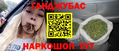 крисы Краснознаменск