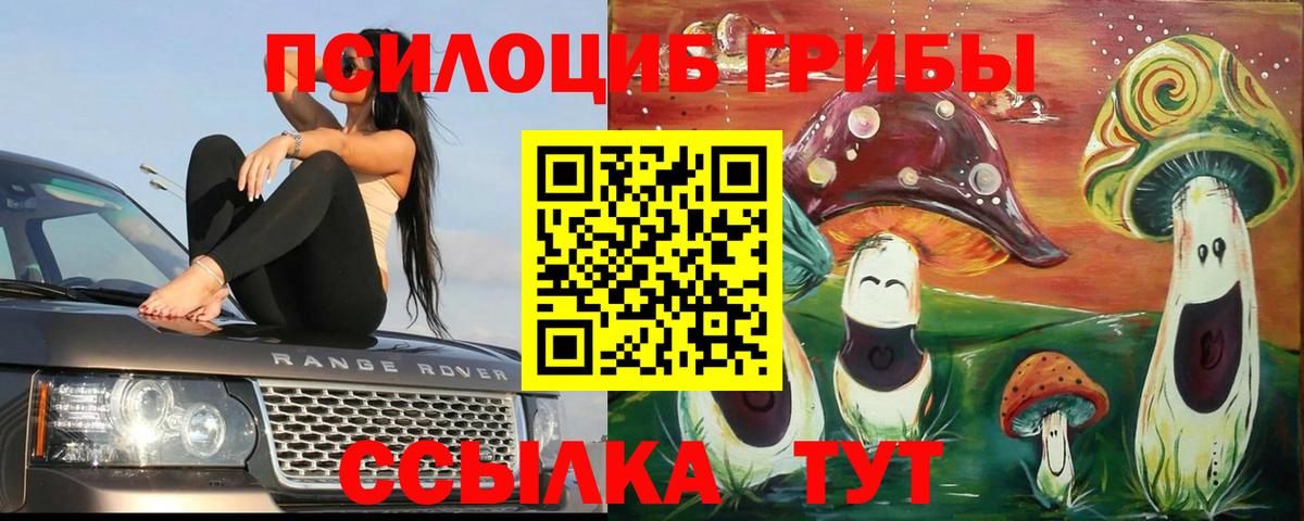 Псилоцибиновые грибы мицелий Ефремов