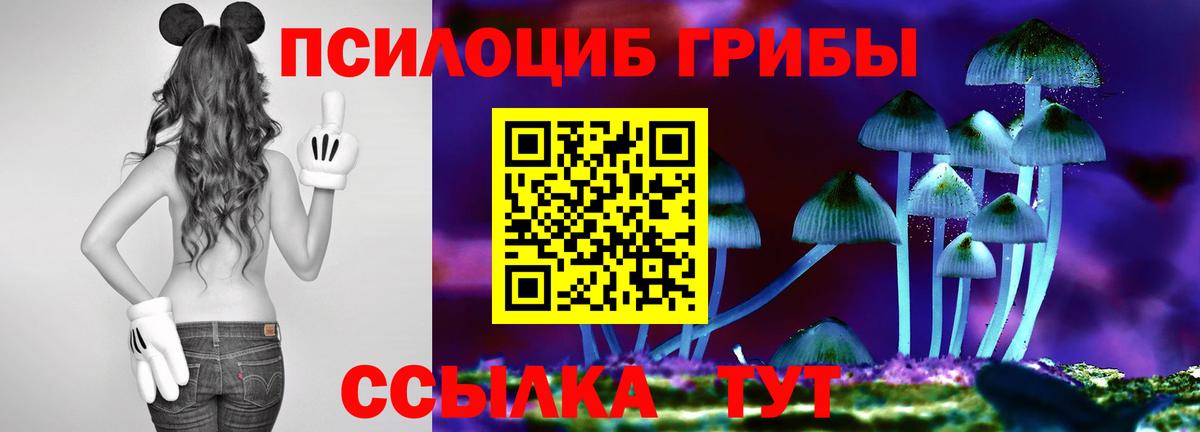 купить  сайты  Псилоцибиновые грибы Psilocybine cubensis  Вход с VPN  Ефремов 